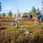 foretagsfotografering alla |Norr om polcirkeln i Finland