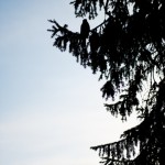 foretagsfotografering alla |Norr om polcirkeln i Finland